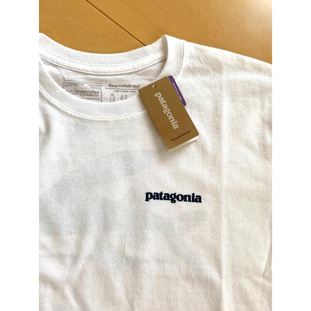 patagonia(パタゴニア)のパタゴニア フライング・フィッシュ・レスポンシビリティー　(未使用) メンズのトップス(Tシャツ/カットソー(七分/長袖))の商品写真