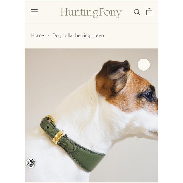 新品未使用　hunting pony ハンティングポニー　ドックカラー　首輪 その他のペット用品(犬)の商品写真