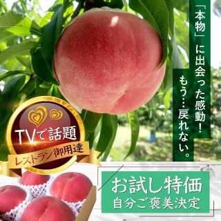 フジテレビ『あしたの内村!!』話題沸騰中！一流レストラン御用達の完熟桃お試し特価(フルーツ)