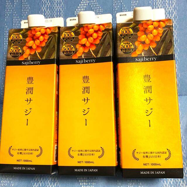 豊潤サジー 1,000ml×3本 | www.innoveering.net