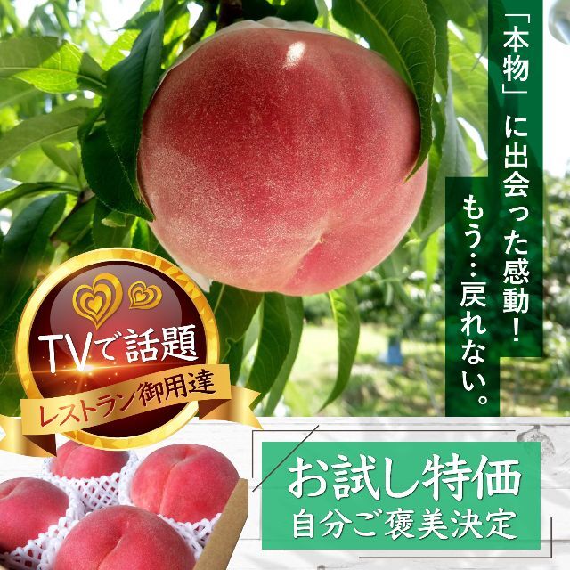 フジテレビ『あしたの内村!!』話題沸騰中！一流レストラン御用達の完熟桃お試し特価食品