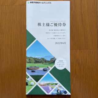 東急不動産 株主優待券 500株分(宿泊券)