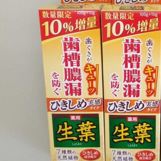 小林製薬(コバヤシセイヤク)の薬用生葉 110g ×4 コスメ/美容のオーラルケア(歯磨き粉)の商品写真