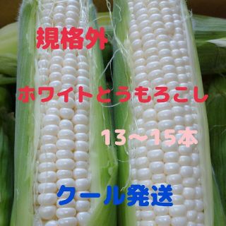 規格外ホワイトとうもろこし(13-15本)(野菜)