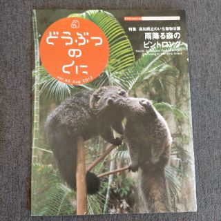 どうぶつのくにvol.53 2013年8月号 特集ビントロング　バックナンバー(その他)