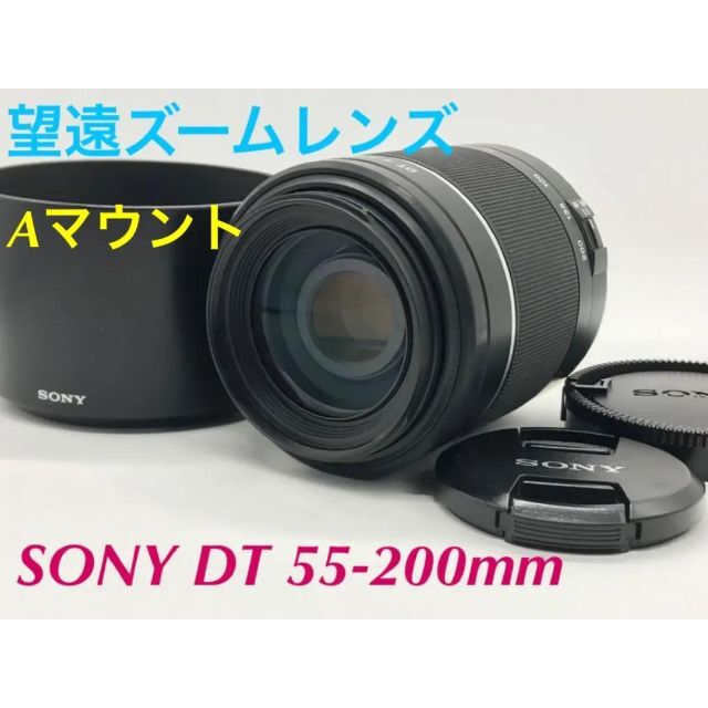 SONY 望遠ズームレンズ DT 55-200mm F4-5.6 #1240