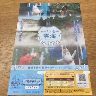 ムーミン(MOOMIN)のムーミンバレーパーク割引チケット(遊園地/テーマパーク)