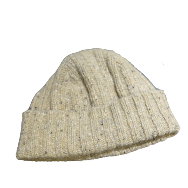 INVERALLAN - INVERALLAN Nep Wool Knit Cap
