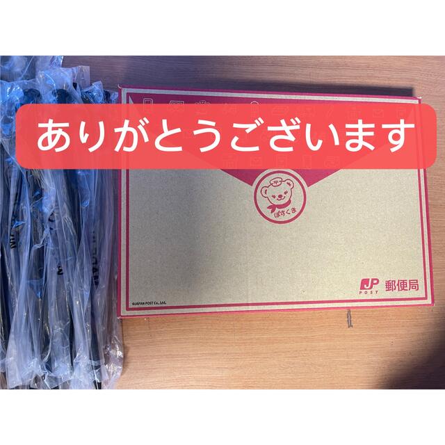 SALE/84%OFF】 スチールペグ30cm10本組 天幕生地使用の丈夫なペグケース付き 未使用品 スチールペグ30cm10本組 天幕生地使用の丈夫なペグケース付き 未使用品