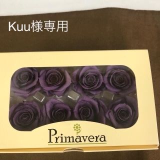 専用primaveraミニーニのグレープが2箱(プリザーブドフラワー)