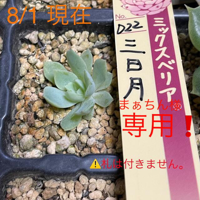 安心発送】 ベリア様 専用ページ ecousarecycling.com