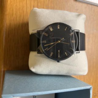 スカーゲン(SKAGEN)のSKAGEN 腕時計(腕時計(アナログ))