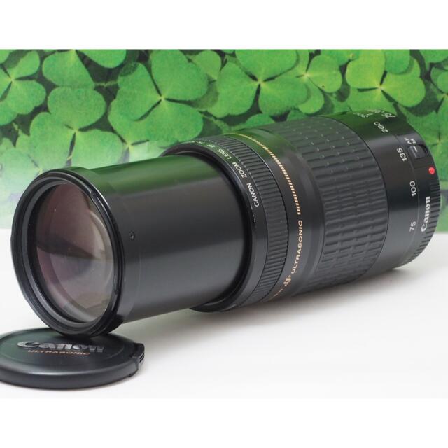 【美品】キャノンEF75-300mm⭐️スポーツ、イベントで大活躍