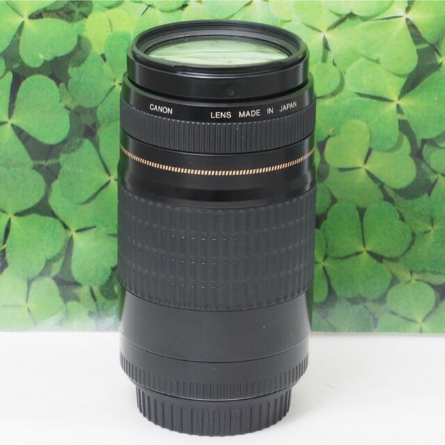 【美品】キャノンEF75-300mm超望遠ズーム⭐️スポーツ、イベントで大活躍