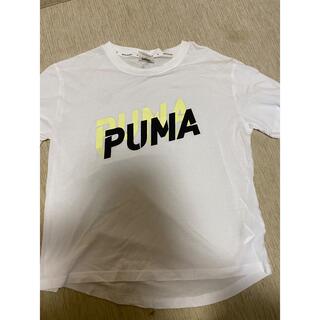 プーマ(PUMA)のTシャツ(Tシャツ(半袖/袖なし))