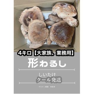 とにかく大特価　4キロ形が悪いまま成長したシイタケ送料込み