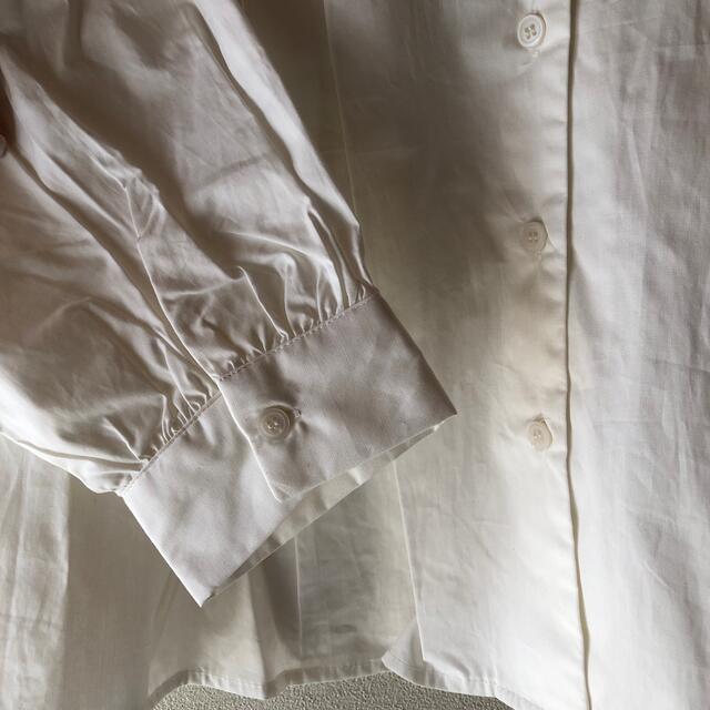 ビックカラーフリルブラウス レディースのトップス(シャツ/ブラウス(長袖/七分))の商品写真