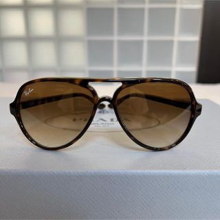 レイバン(Ray-Ban)のRay-Ban      サングラス  ケース&クロス付き　ベッコウ柄　ブラウン(サングラス/メガネ)