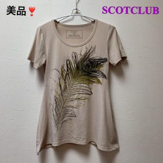 スコットクラブ(SCOT CLUB)の【美品】SCOTCLUBスコットクラブ♡レディースTシャツ/Aライントップス(Tシャツ(半袖/袖なし))