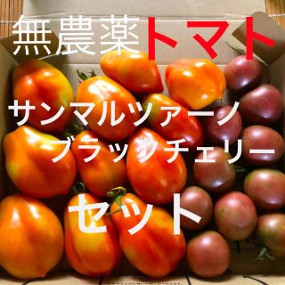 無農薬　サンマルツァーノトマト　ブラックチェリートマト　合計約1kg(野菜)