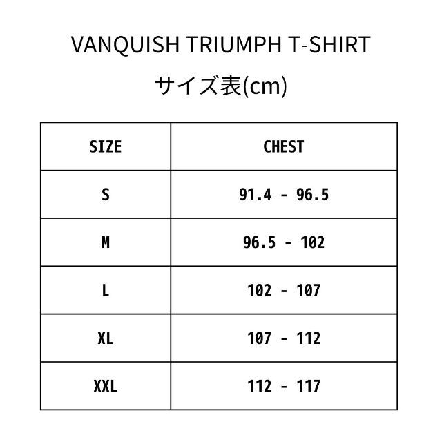 VANQUISH サイズS ヴァンキッシュTRIUMPH Tシャツ 4