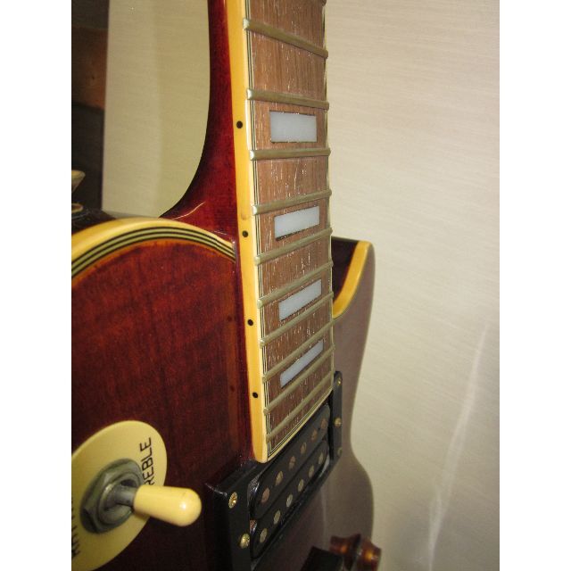 AriaCompany(アリアカンパニー)のARIA Pro Ⅱ PE-DLX 楽器のギター(エレキギター)の商品写真