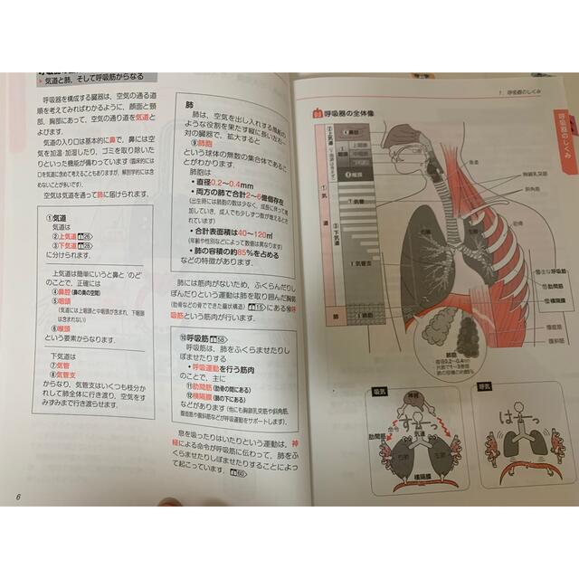 イメカラ♡呼吸器 エンタメ/ホビーの本(健康/医学)の商品写真