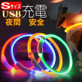 【Sサイズ】LED　犬　首輪　安全　USB 充電式　散歩　夜間(犬)