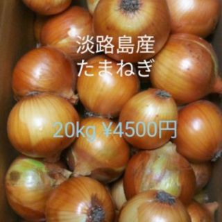 淡路島産玉ねぎ 20kg(野菜)