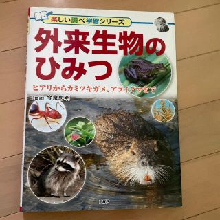 外来生物のひみつ ヒアリからカミツキガメ、アライグマまで(絵本/児童書)