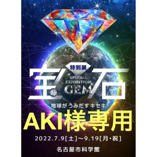 AKI様専用　宝石展チケット 小中生入場券 1枚　名古屋市科学館(美術館/博物館)