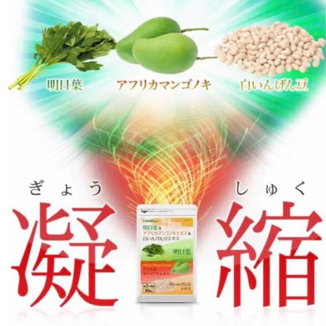 明日葉 アフリカマンゴノキ 白いんげん豆エキス  ダイエット サプリメント コスメ/美容のダイエット(ダイエット食品)の商品写真