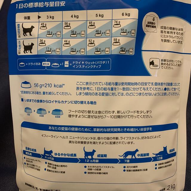 ROYAL CANIN(ロイヤルカナン)のロイヤルカナン　インドア　12ヶ月から７歳 その他のペット用品(ペットフード)の商品写真