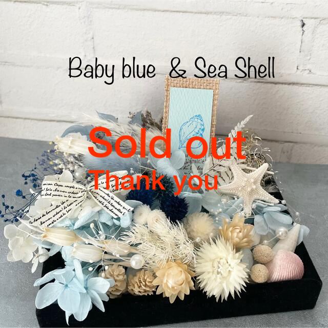 ハンドメイド詰め合わせ　Baby blue & Sea Shell プリザーブド木の実