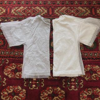 サンタモニカ(Santa Monica)のused チュール付tシャツ(Tシャツ(半袖/袖なし))