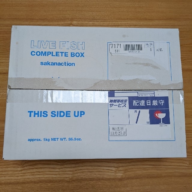 サカナクション LIVE FISH -COMPLETE BOX-