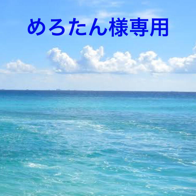 スプリング めろたん様専用 - www.dmka.com.tr