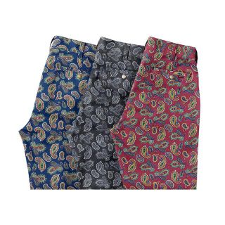 シュプリーム(Supreme)の13aw SUPREME PAISLEY WORK PANT(ワークパンツ/カーゴパンツ)