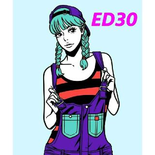 新品未開封 Hime シルクスクリーン ED30 版画(版画)