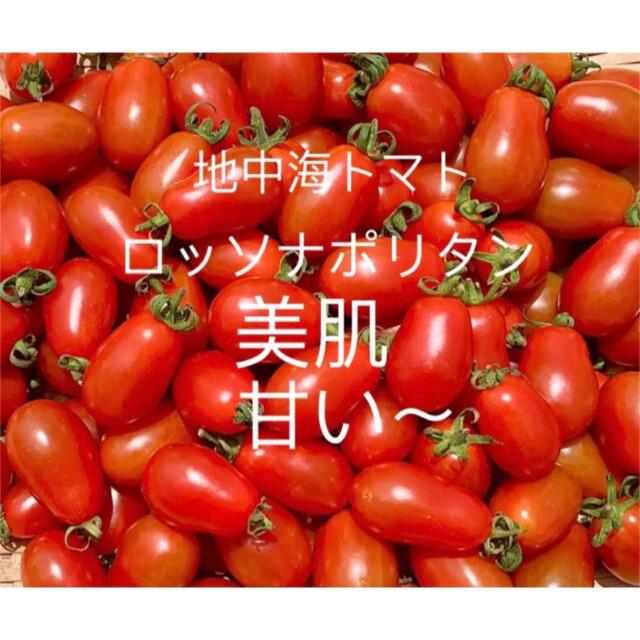 マウロの地中海ミニトマト ロッソナポリタン 美肌機能食材  無農薬  3㎏ 食品/飲料/酒の食品(野菜)の商品写真