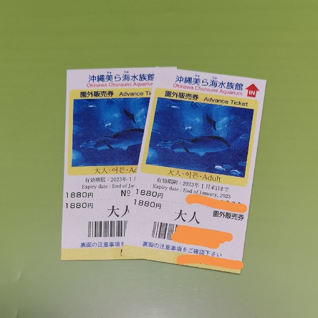 NEW 沖縄美ら海水族館 入館チケット4枚