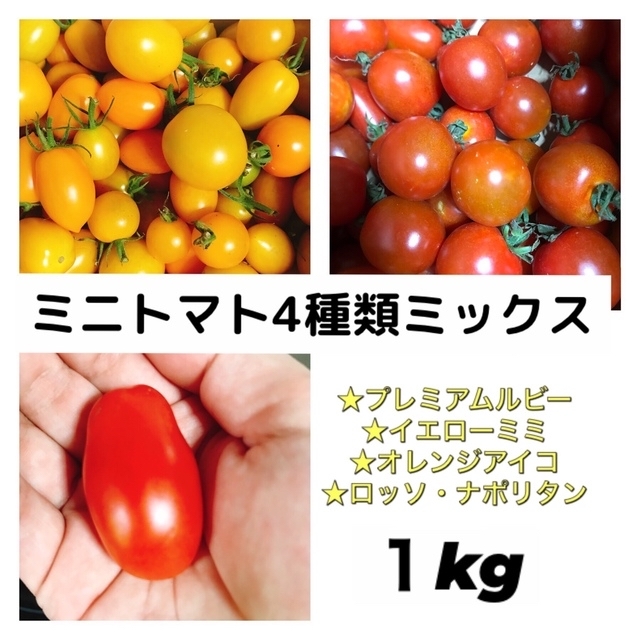 ミニトマト４種ミックス １kg 食品/飲料/酒の食品(野菜)の商品写真