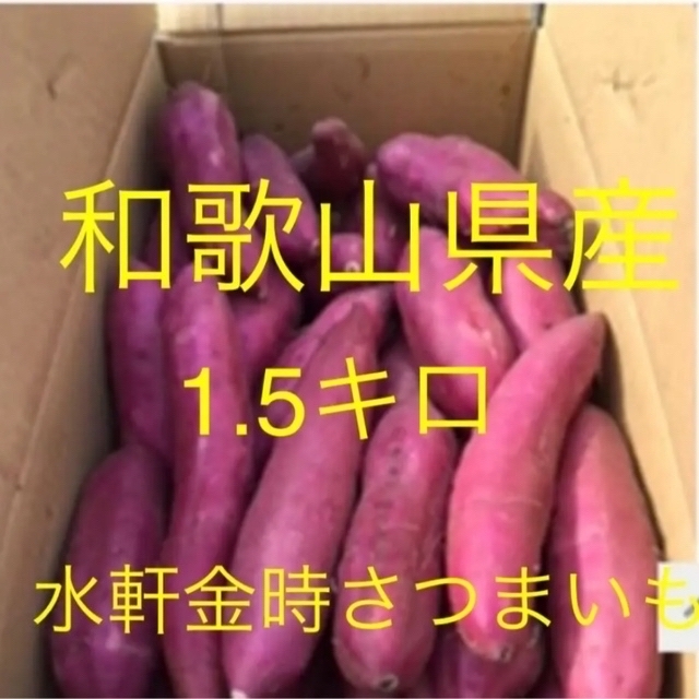 ラスト！新物！！！水軒金時さつまいも  紅はるか 食品/飲料/酒の食品(野菜)の商品写真