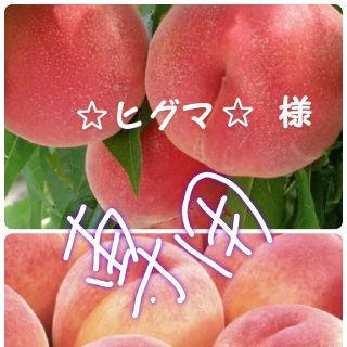 🍑☆ヒグマ☆様専用です🍑(フルーツ)