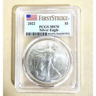 アメリカンイーグル 美術品/アンティークの通販 54点 | American Eagle