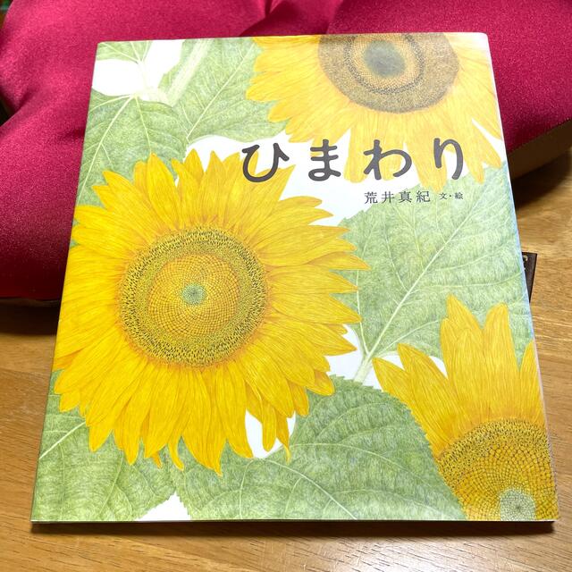 ひまわり エンタメ/ホビーの本(絵本/児童書)の商品写真