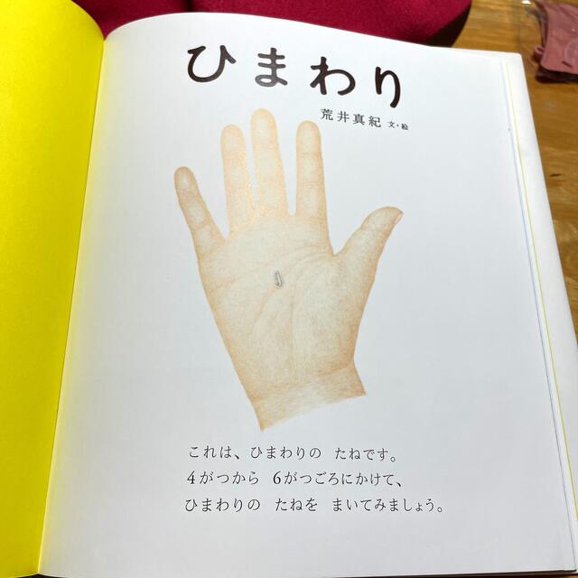 ひまわり エンタメ/ホビーの本(絵本/児童書)の商品写真