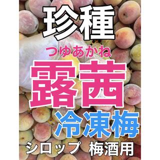 r013⚠️クール便【珍種】冷凍「露茜」1kg 梅酒 シロップ用  青梅(フルーツ)