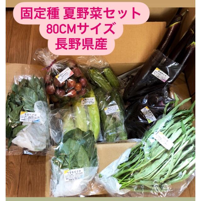 無農薬&固定種野菜セット★80cmサイズ★長野県産 食品/飲料/酒の食品(野菜)の商品写真