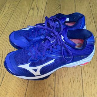 ミズノ(MIZUNO)の排球女将様専用★ミズノバレーボールシューズ ウェーブライトニングZ6 24.5(バレーボール)